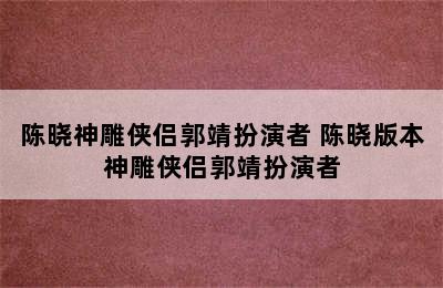 陈晓神雕侠侣郭靖扮演者 陈晓版本神雕侠侣郭靖扮演者